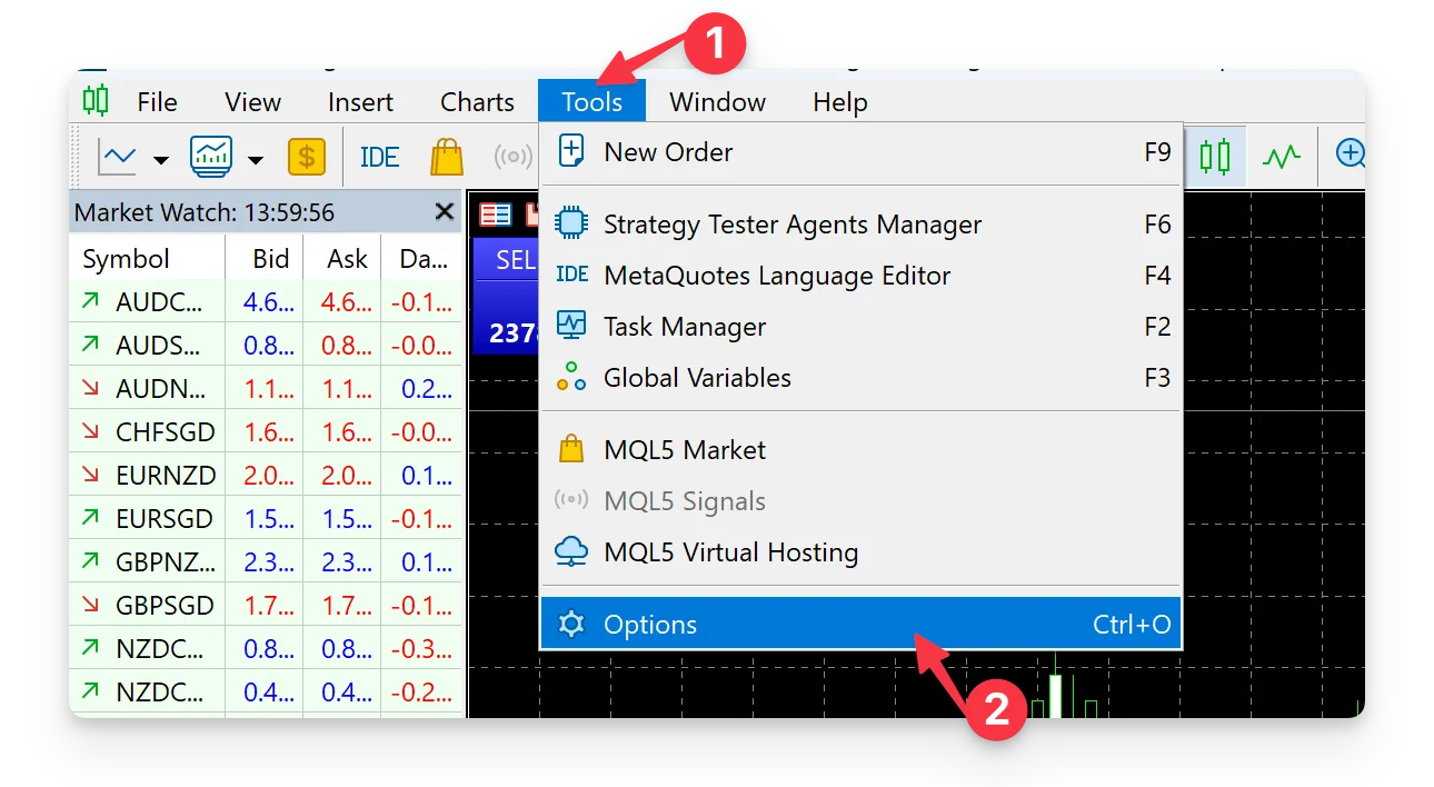 Step 3: On the top left of your dashboard, click Tools then click Options.